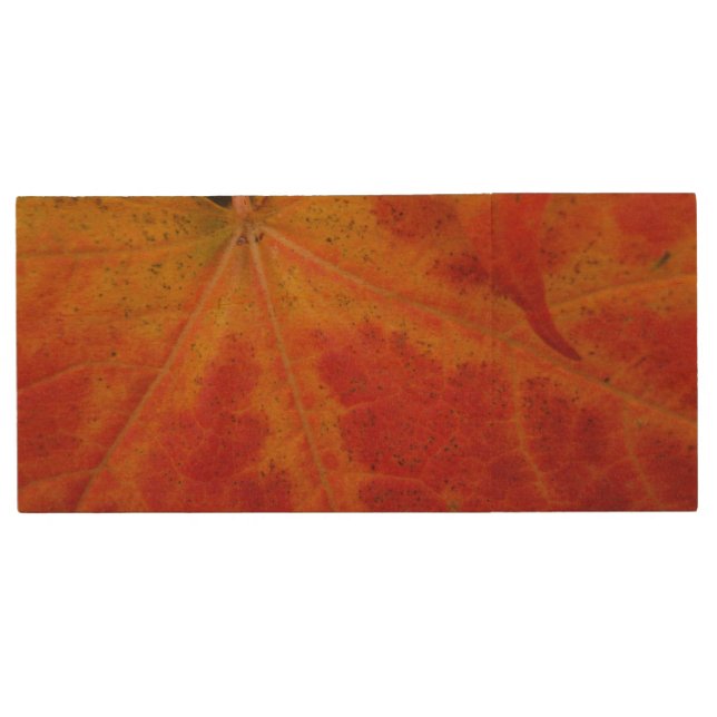 Red Maple Leaf Abstract Autumn Nature Photography Wood Flash Drive (Front)
