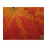 Red Maple Leaf Abstract Autumn Nature Photography Wood Wall Art