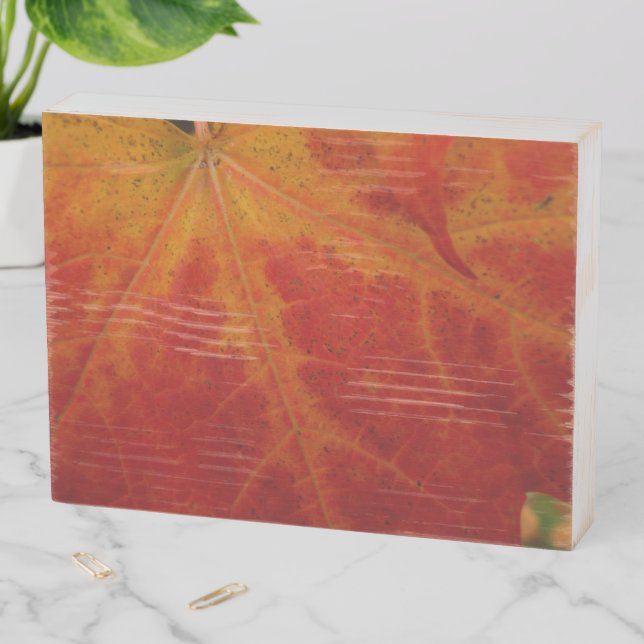 Red Maple Leaf Abstract Autumn Nature Photography Wooden Box Sign (In Situ Horizontal)