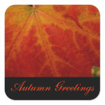 Red Maple Leaf Autumn Greetings Sticker