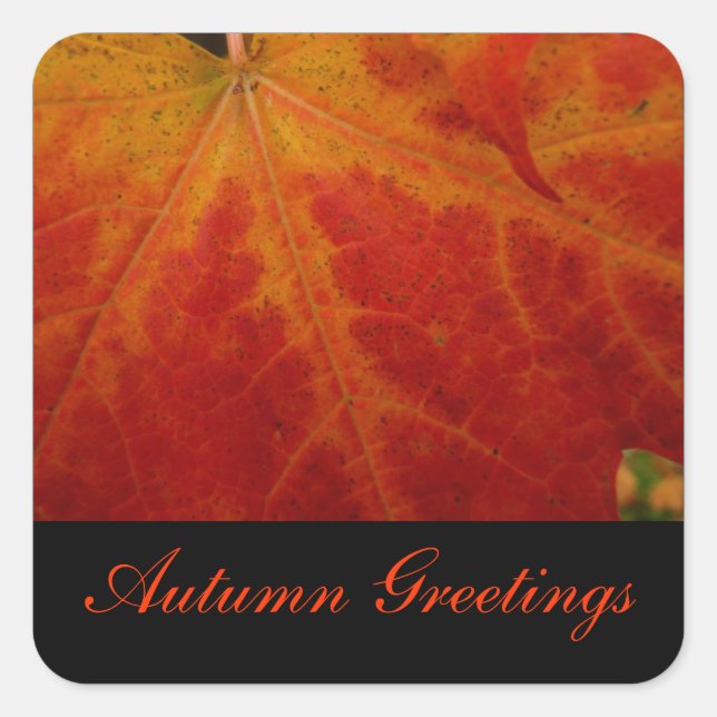 Red Maple Leaf Autumn Greetings Sticker (Front)