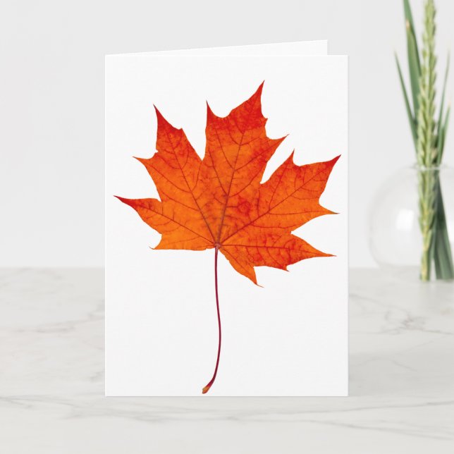 Red maple leaf card (Front)