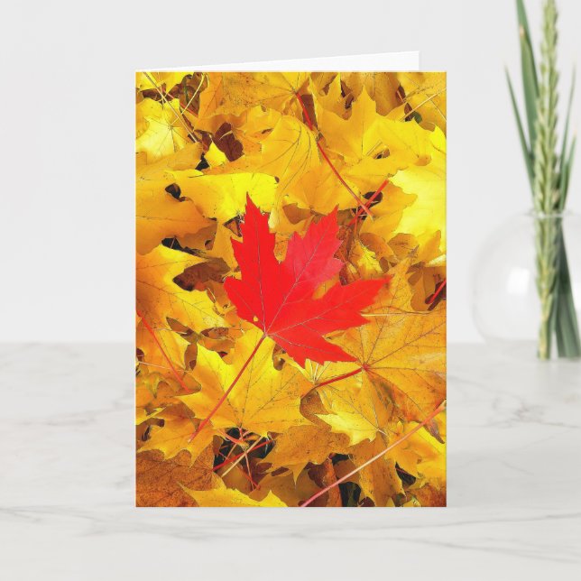 Red Maple Leaf Card (Front)