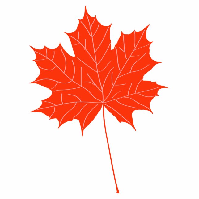 Red maple leaf cutout (Front)