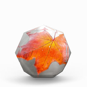 Red Maple Leaf - Mystique Autumn Award