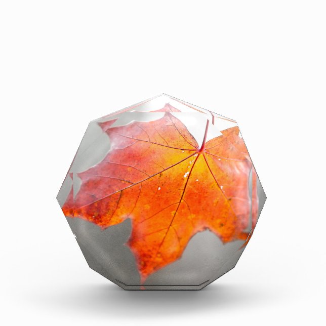 Red Maple Leaf - Mystique Autumn Award (Front)