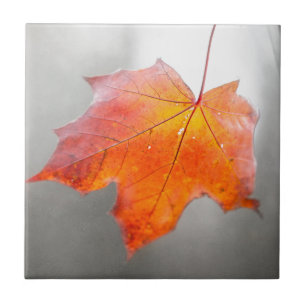 Red Maple Leaf - Mystique Autumn Tile