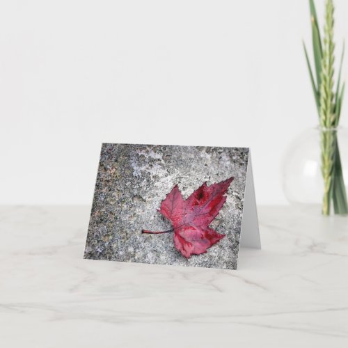 Red Maple Leaf Note Card