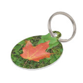 Red Maple Leaf on Grass for Canada Day Pet Tag (Side)