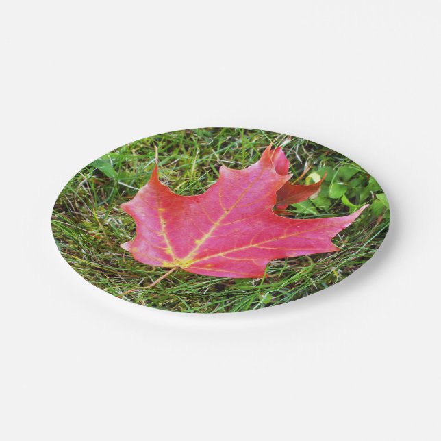 Red Maple Leaf on Grass Paper Plates (Angled)
