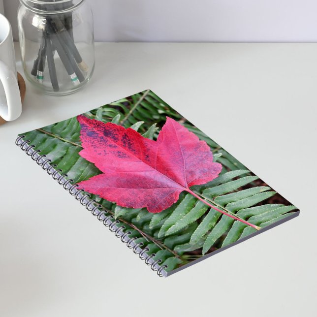 Red Maple Leaf on Green Fern Botanical Notebook (In Situ)
