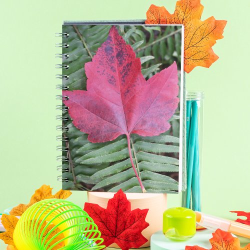 Red Maple Leaf on Green Fern Botanical Notebook