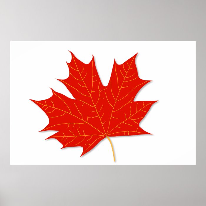 Red maple leaf poster