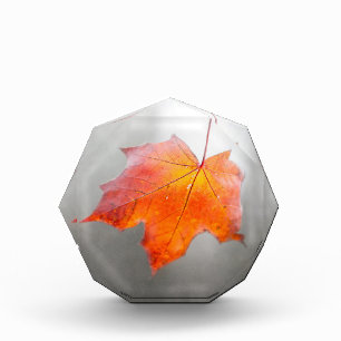 Red Maple Leaf - Velvet Autumn Award