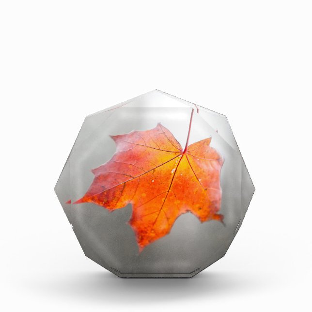 Red Maple Leaf - Velvet Autumn Award (Front)