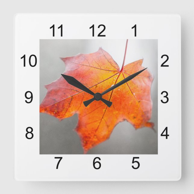 Red Maple Leaf - Velvet Autumn Square Wall Clock (Front)