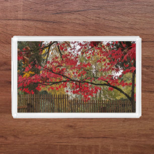 Red Maple Leaves and Bamboo Fence Photo Acrylic Tray