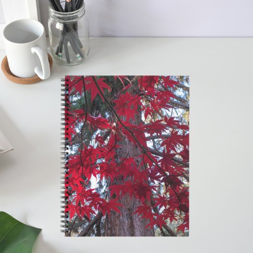 Red Maple Leaves and Giant Sequoia Notebook