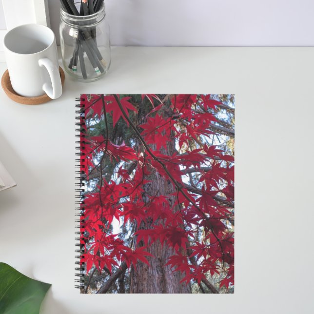 Red Maple Leaves and Giant Sequoia Notebook (In Situ)