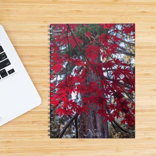 Red Maple Leaves and Giant Sequoia Notebook