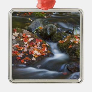 Red maple leaves carpet the rocks in the metal ornament