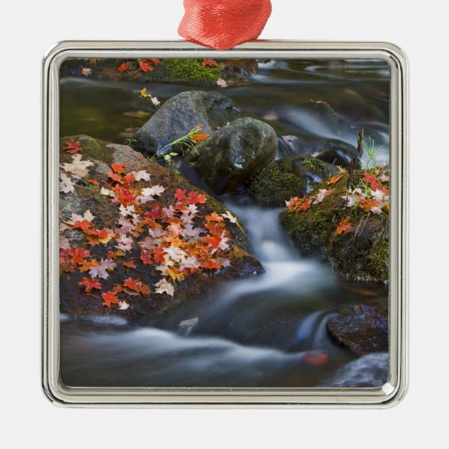 Red maple leaves carpet the rocks in the metal ornament (Front)
