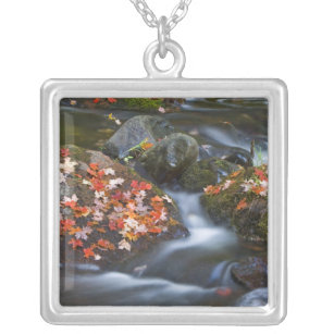 Red maple leaves carpet the rocks in the silver plated necklace