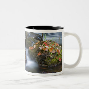 Red maple leaves carpet the rocks in the Two-Tone coffee mug