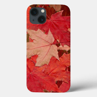 Red Maple Leaves iPhone 13 Case