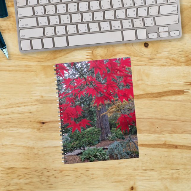 Red Maple Leaves in a Japanese Garden Notebook (In Situ)