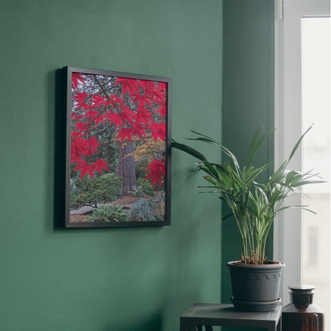 Red Maple Leaves in a Japanese Garden Photo Print (In Situ)
