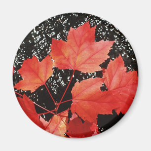 Red Maple Leaves Magnet