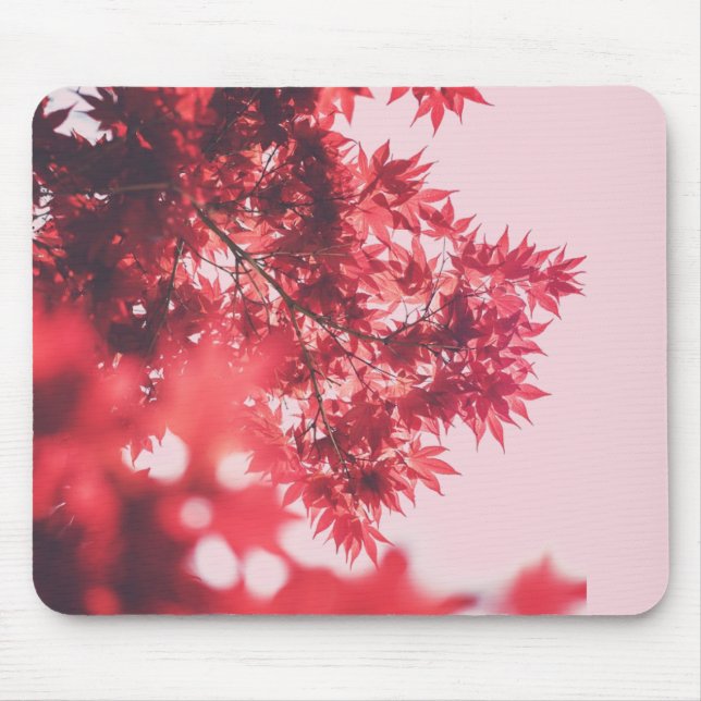 Red Maple Leaves on Pink Mouse Pad (Front)