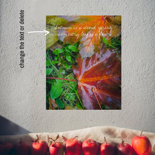 Red maple leaves  poster