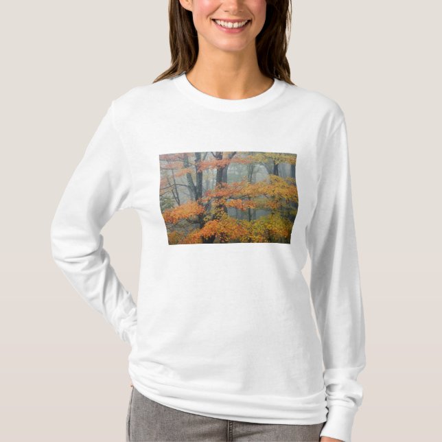 Red Maple tree, Acer rubrum, portrait in foggy T-Shirt (Front)