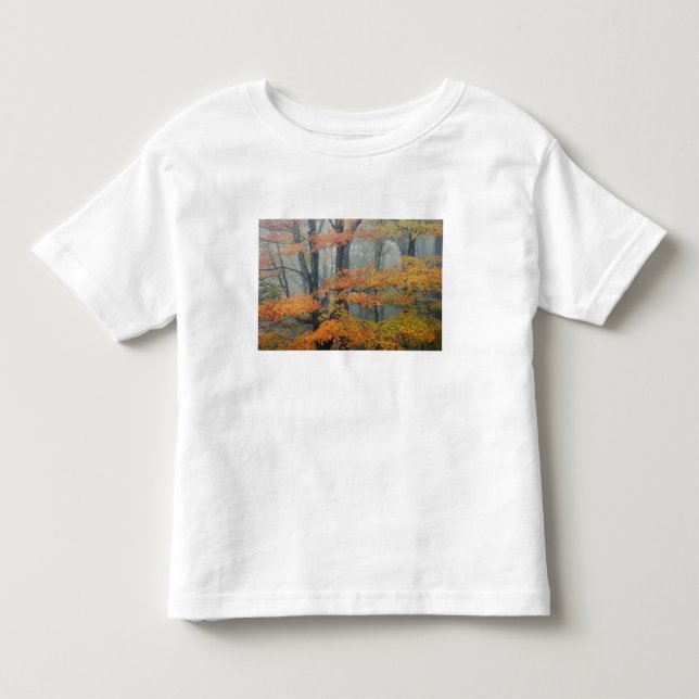 Red Maple tree, Acer rubrum, portrait in foggy Toddler T-shirt (Front)