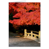 Red Maple tree and Japanese Bridge (Front)