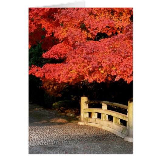 Red Maple tree and Japanese Bridge Cards (Front)