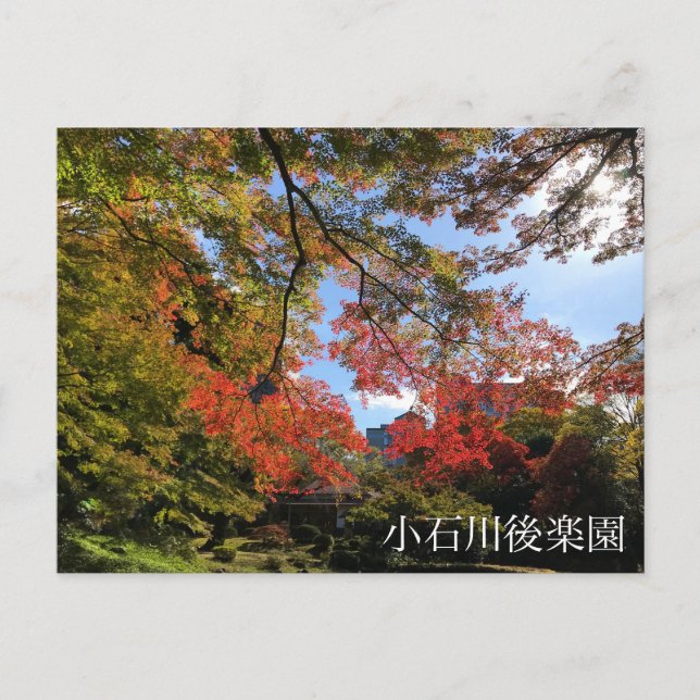 Red Maples at Japanese Garden Postcard (Front)