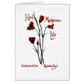 Red Marisposa Lily (Front)