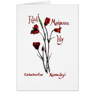 Red Marisposa Lily Cards