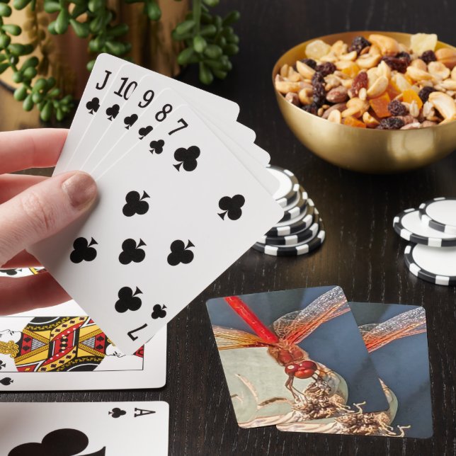 Red Meadowhawk Dragonfly Nature Photo Poker Cards (In Situ)