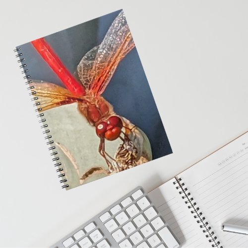 Red Meadowhawk Dragonfly Photo Notebook