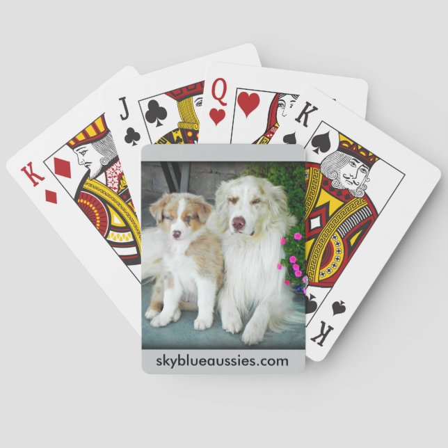 Red Merle Aussie playing cards. Poker Cards (Back)