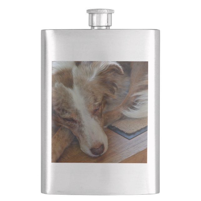 red merle aussie sleeping flask (Front)