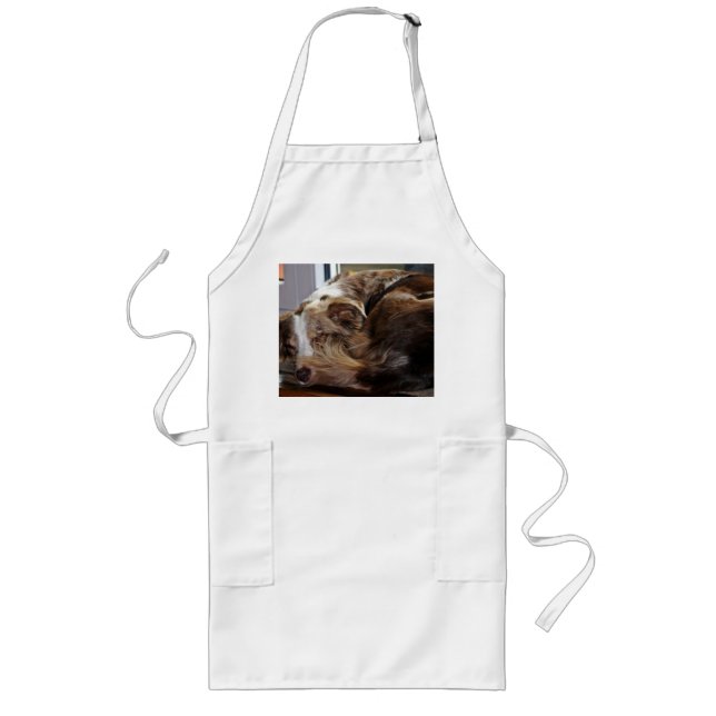 red merle mini aussie sleeping 2 long apron (Front)