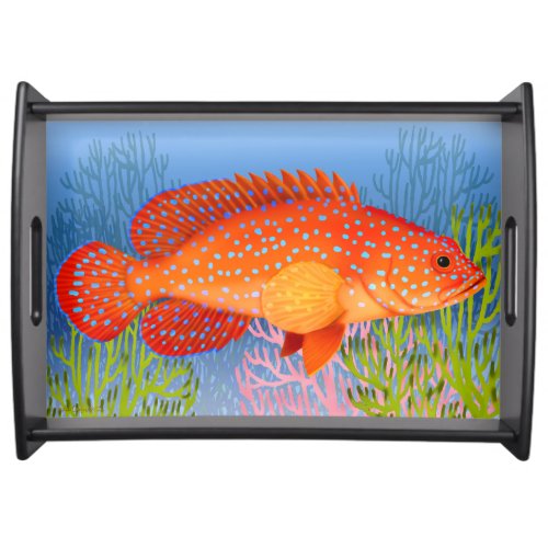 Red Miniatus Grouper Ocean Fish Tray