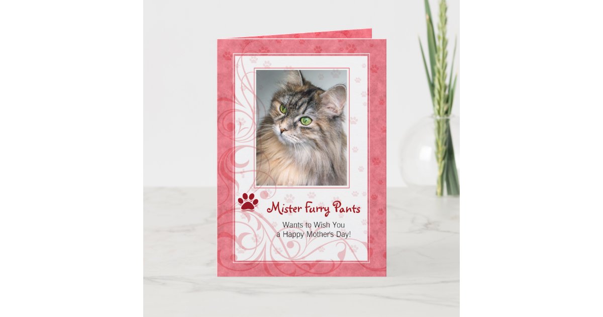 Red Mother S Day Photo Greeting From The Cat Card Zazzle Com