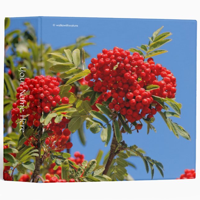 Red Mountain Ash Berries 3 Ring Binder (Front/Spine)