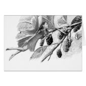 Red Mulberry Tree Fairy (Front Horizontal)